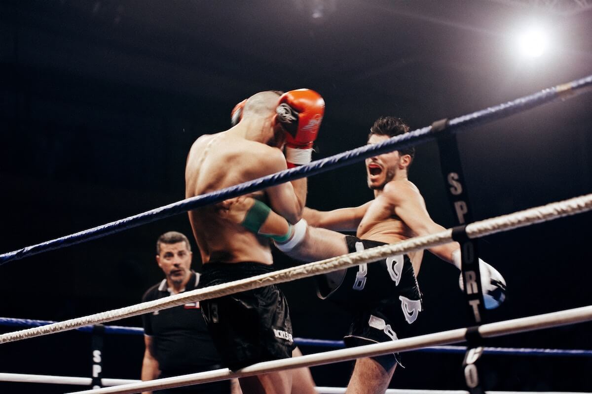 Sharpening Martial Arts Reflexes with Reflexion